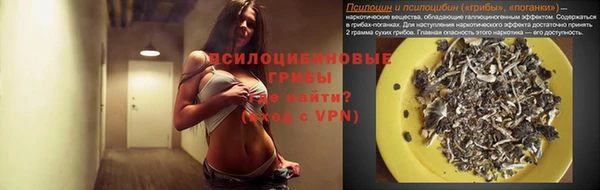 ешки Михайловск