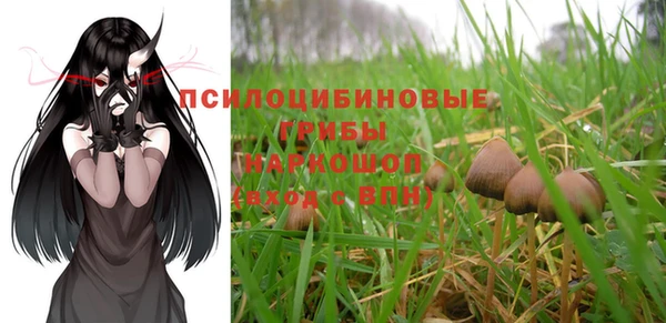 не бодяженный Михайлов