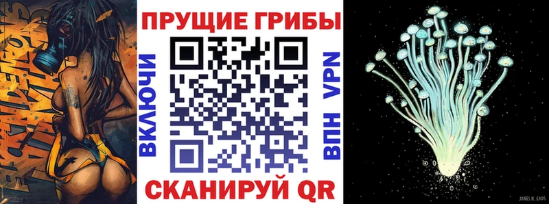Галлюциногенные грибы MAGIC MUSHROOMS  Щёкино 